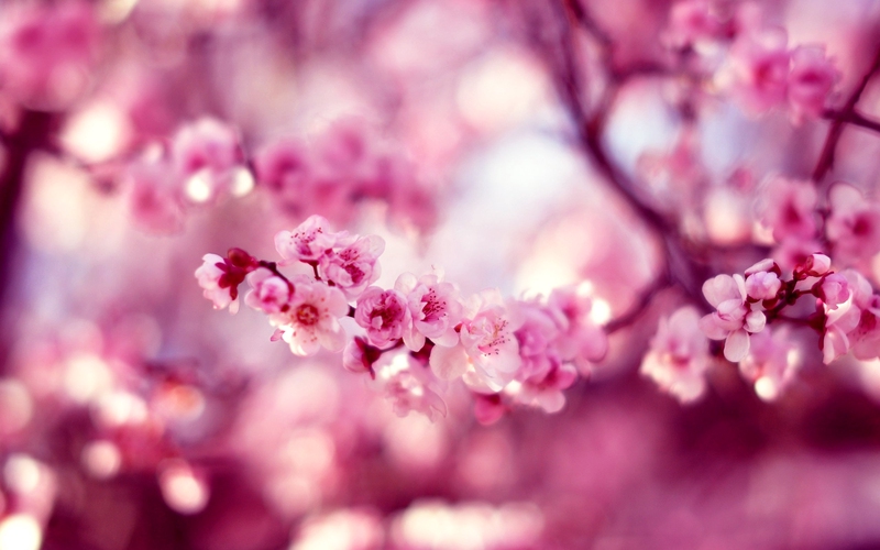 91M7Zvj3_0d311d_f.jpg