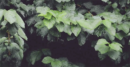 61G7PR71_ee0e44_f.jpg