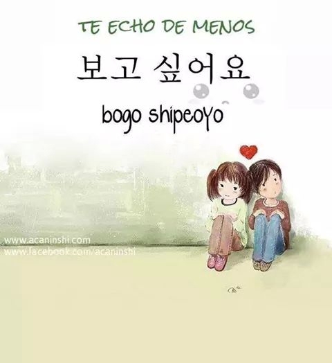mLnn96jL_589f71_f.jpg